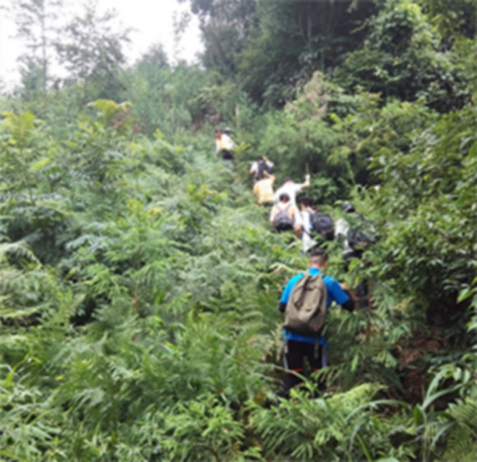 1577441187306429.jpg 5.jpg