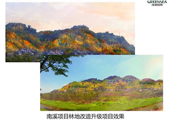 1577442445570730.jpg 3.jpg