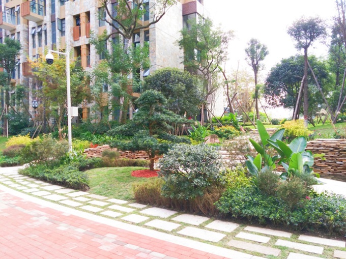 1577442991758219.jpg 2.jpg