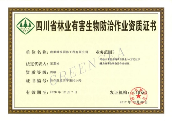 1577444296135679.jpg 2.jpg