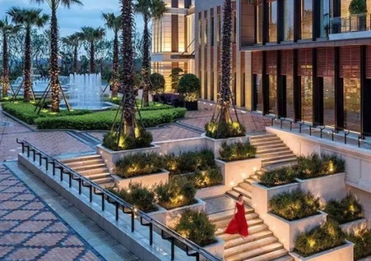 1577454604926560.jpg 6.jpg