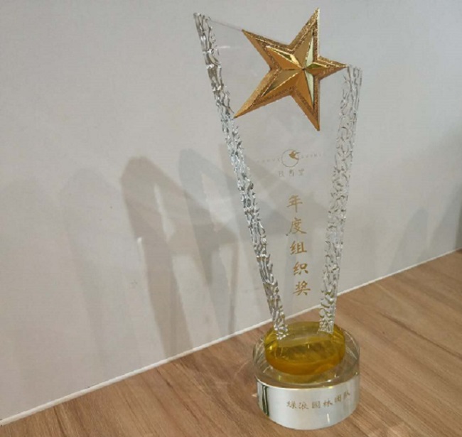 1577455115378249.jpg 2.jpg