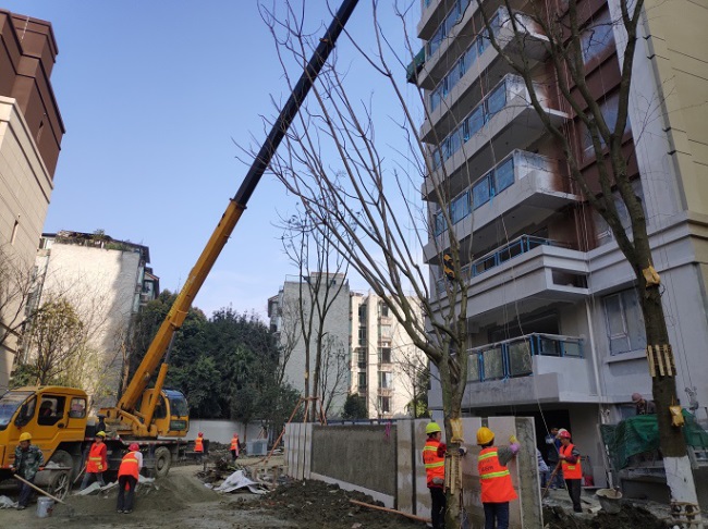 1577455183131746.jpg 4.jpg