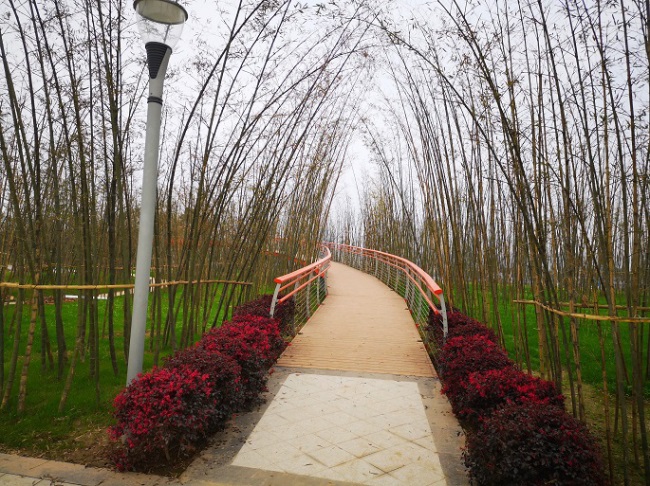 1577455311720136.jpg 9.jpg