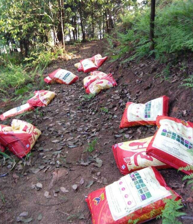 石城山工區(qū)施底肥，苗木修剪及栽植.png